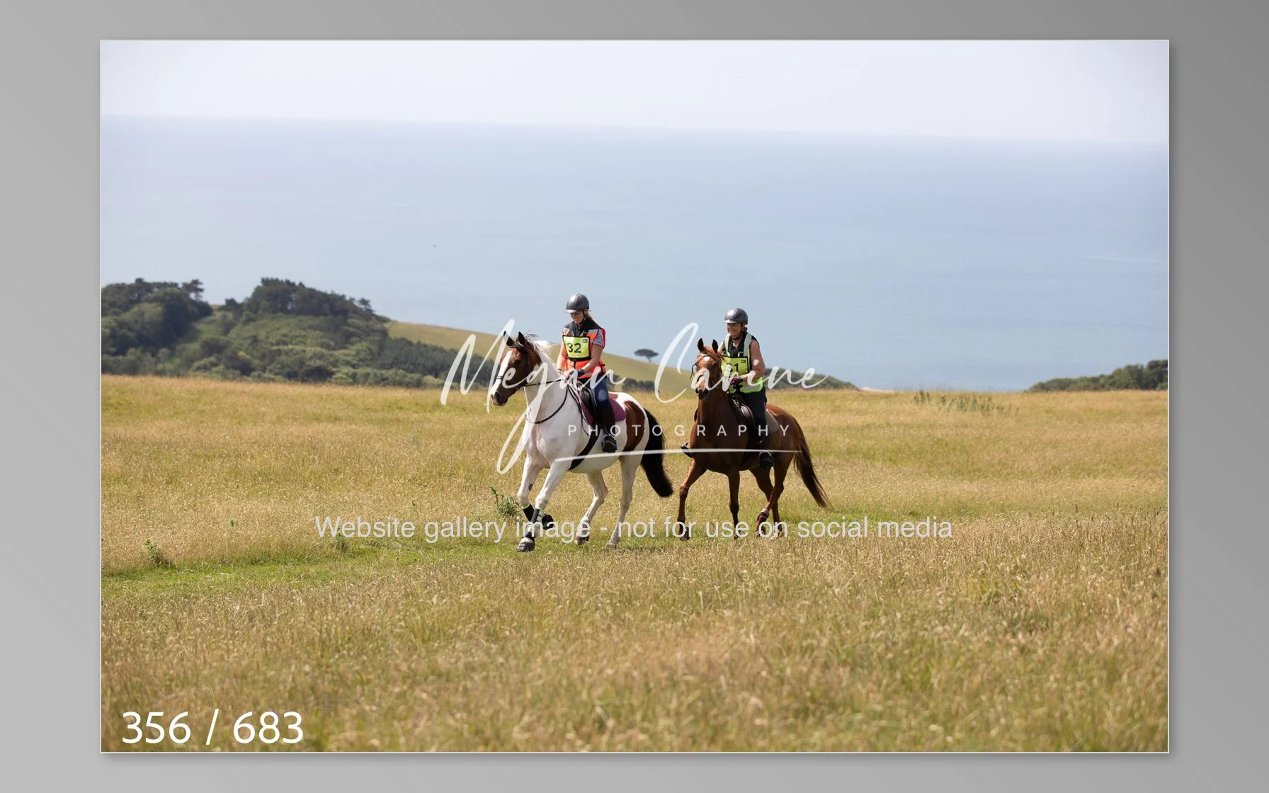 Abbotsbury-356.jpg