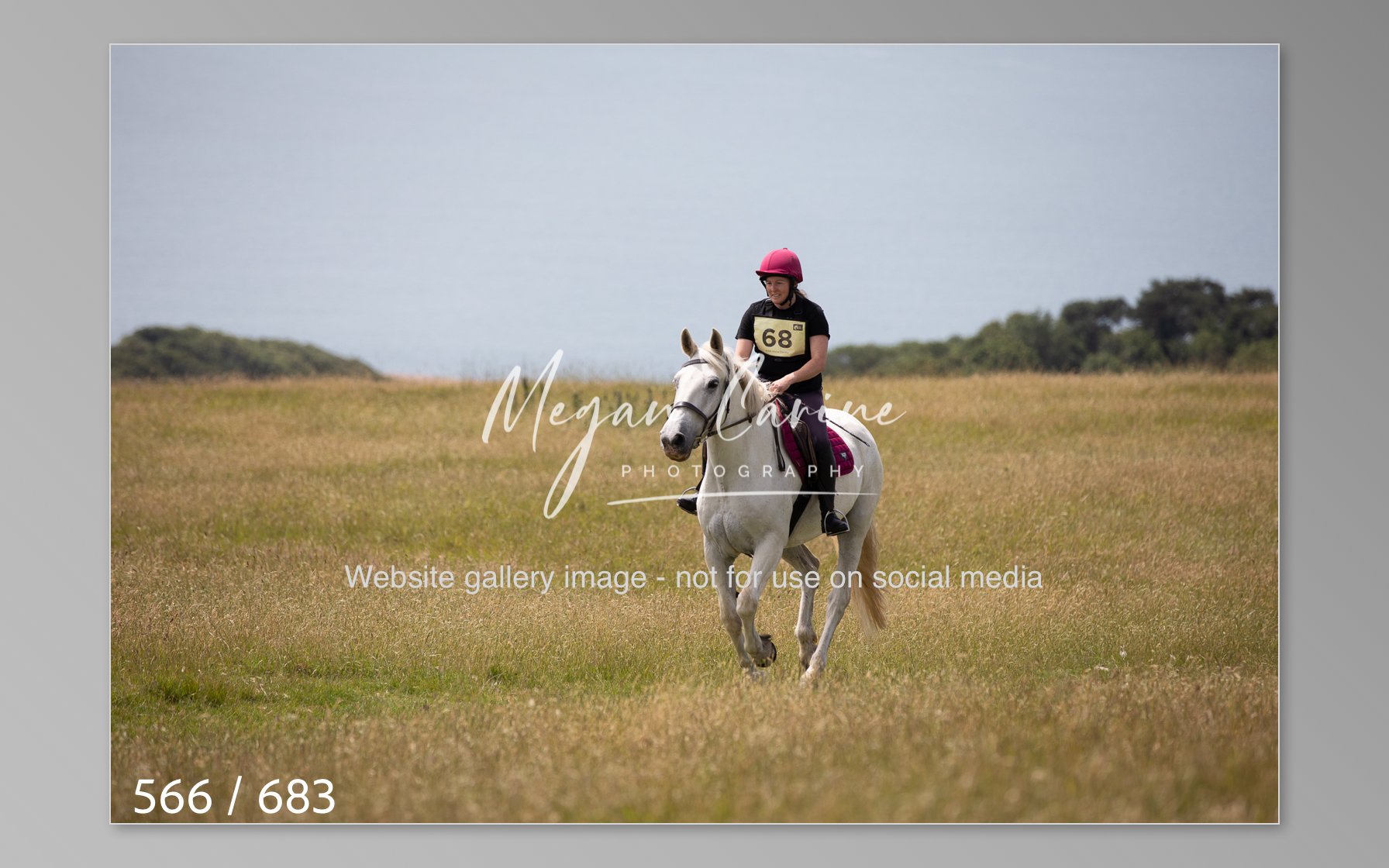 Abbotsbury-566.jpg