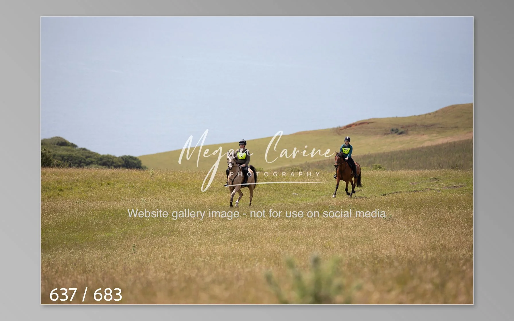 Abbotsbury-637.jpg