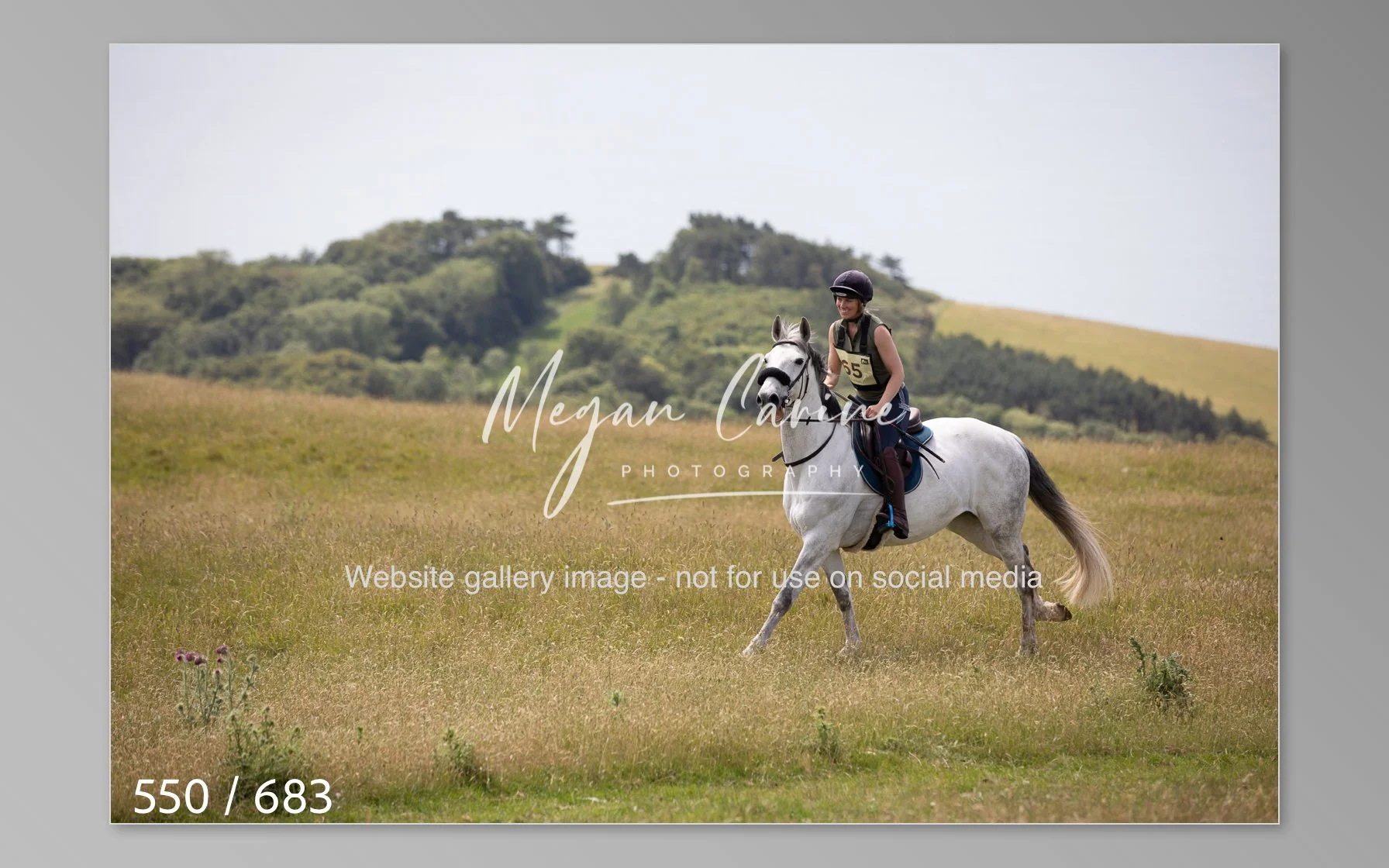 Abbotsbury-550.jpg