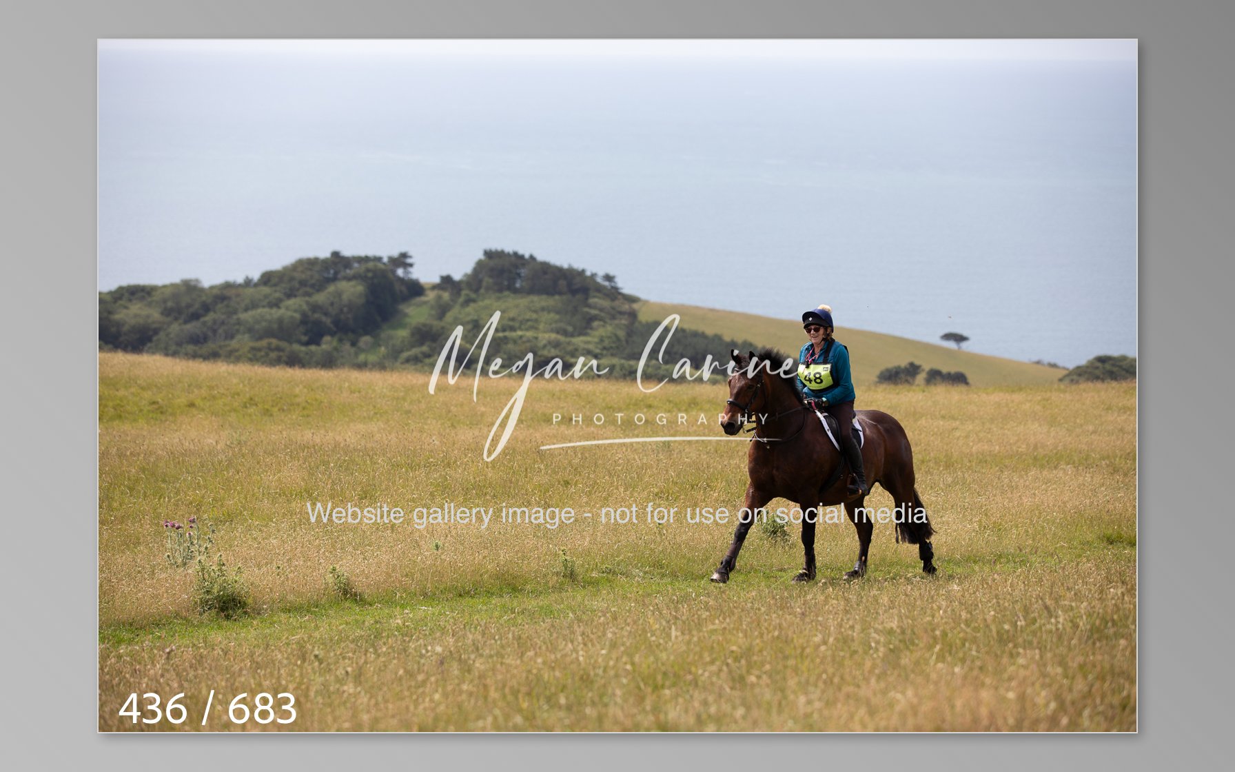 Abbotsbury-436.jpg