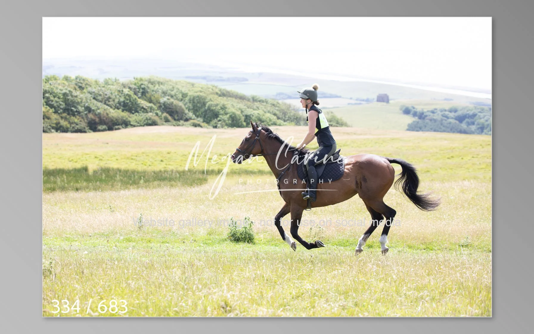 Abbotsbury-334.jpg