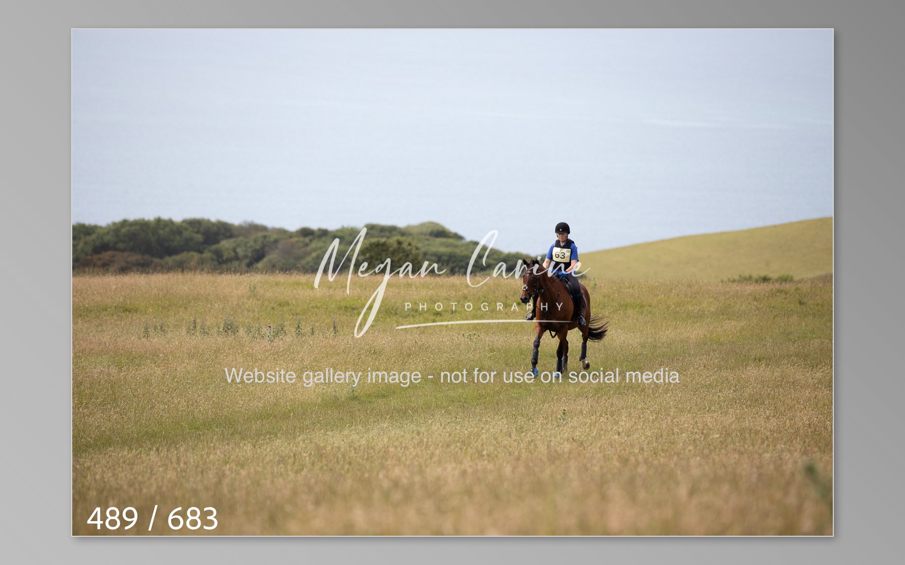 Abbotsbury-489.jpg