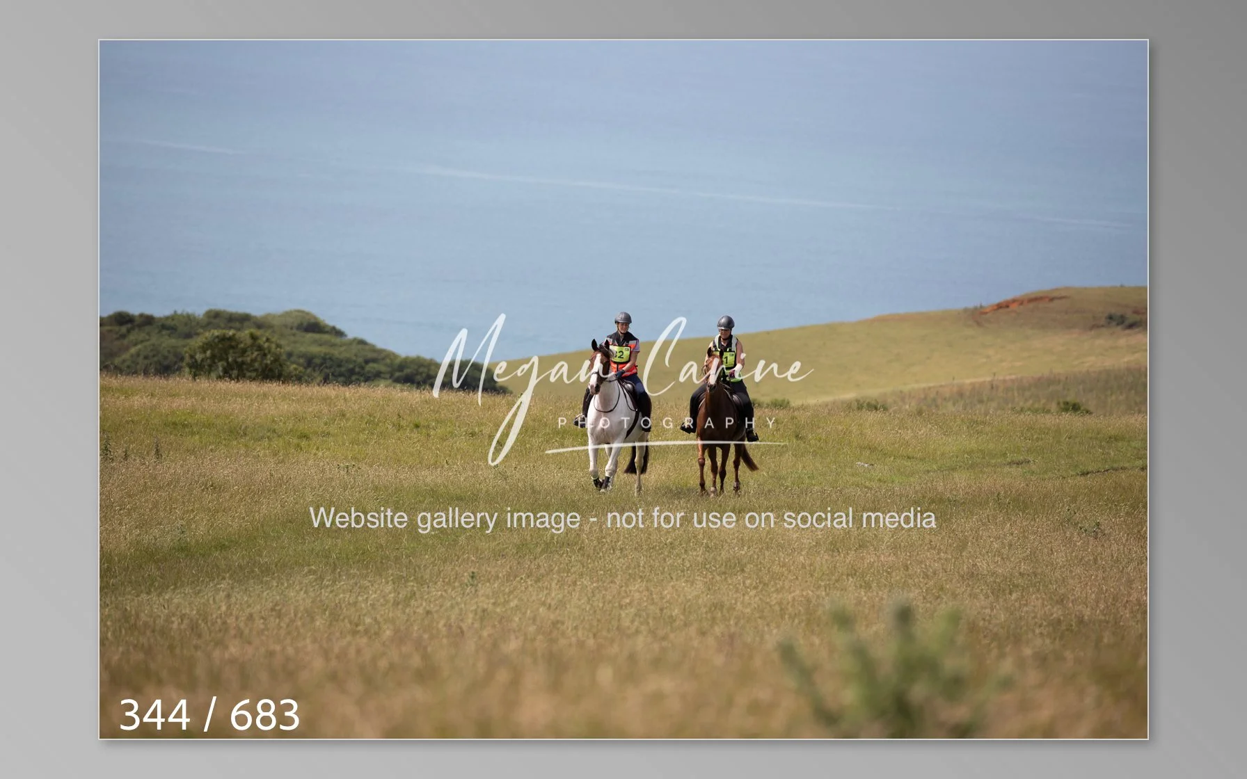 Abbotsbury-344.jpg