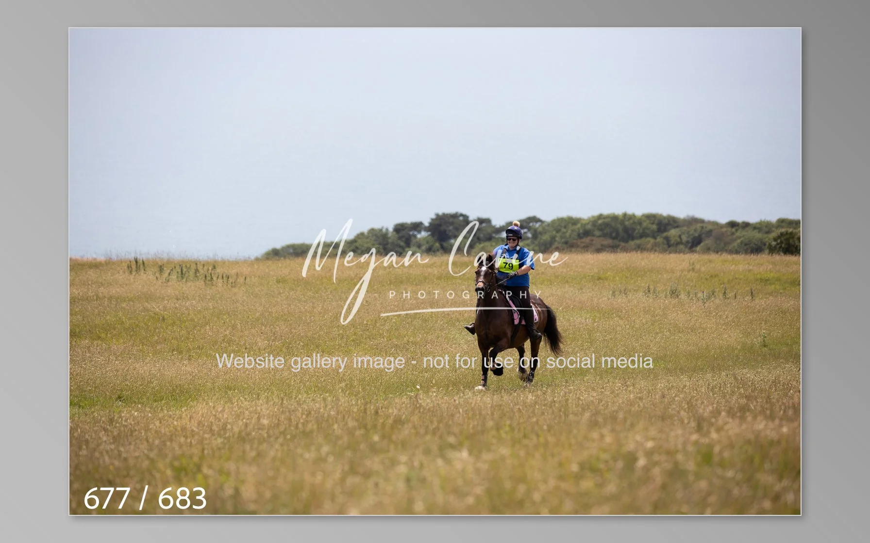 Abbotsbury-677.jpg