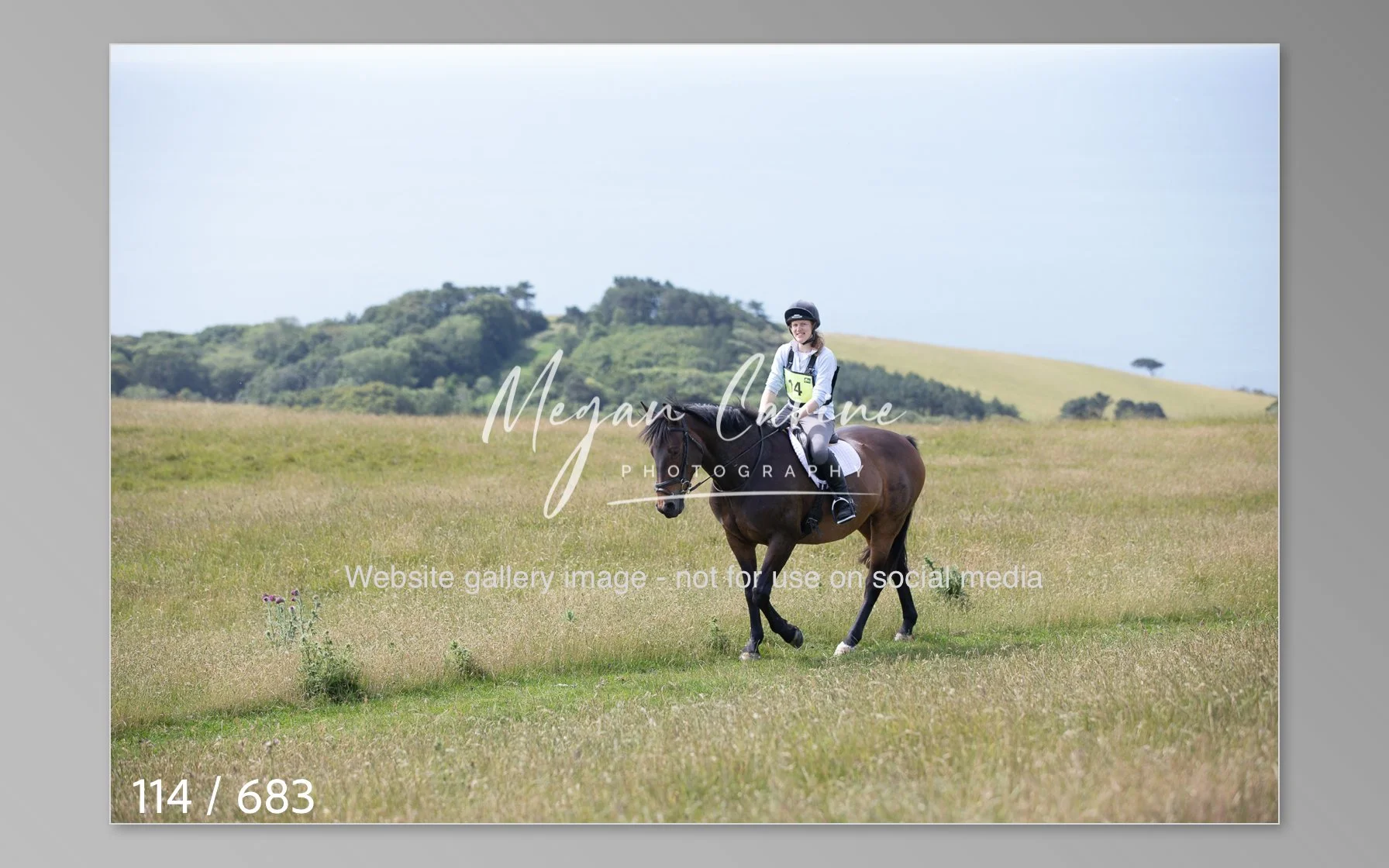 Abbotsbury-114.jpg