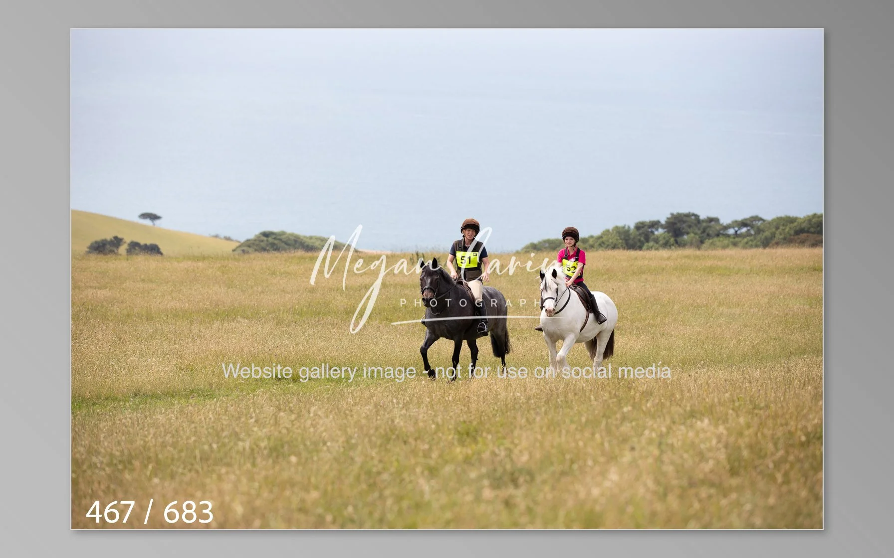 Abbotsbury-467.jpg