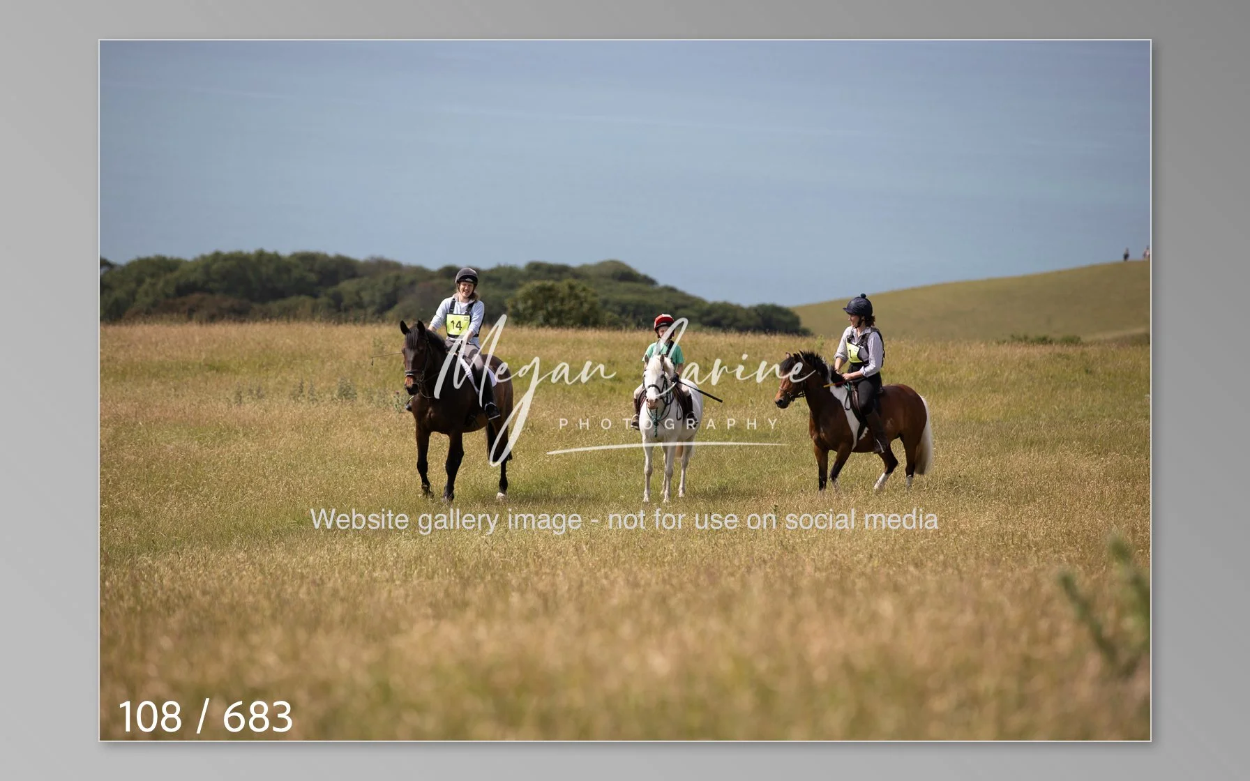 Abbotsbury-108.jpg