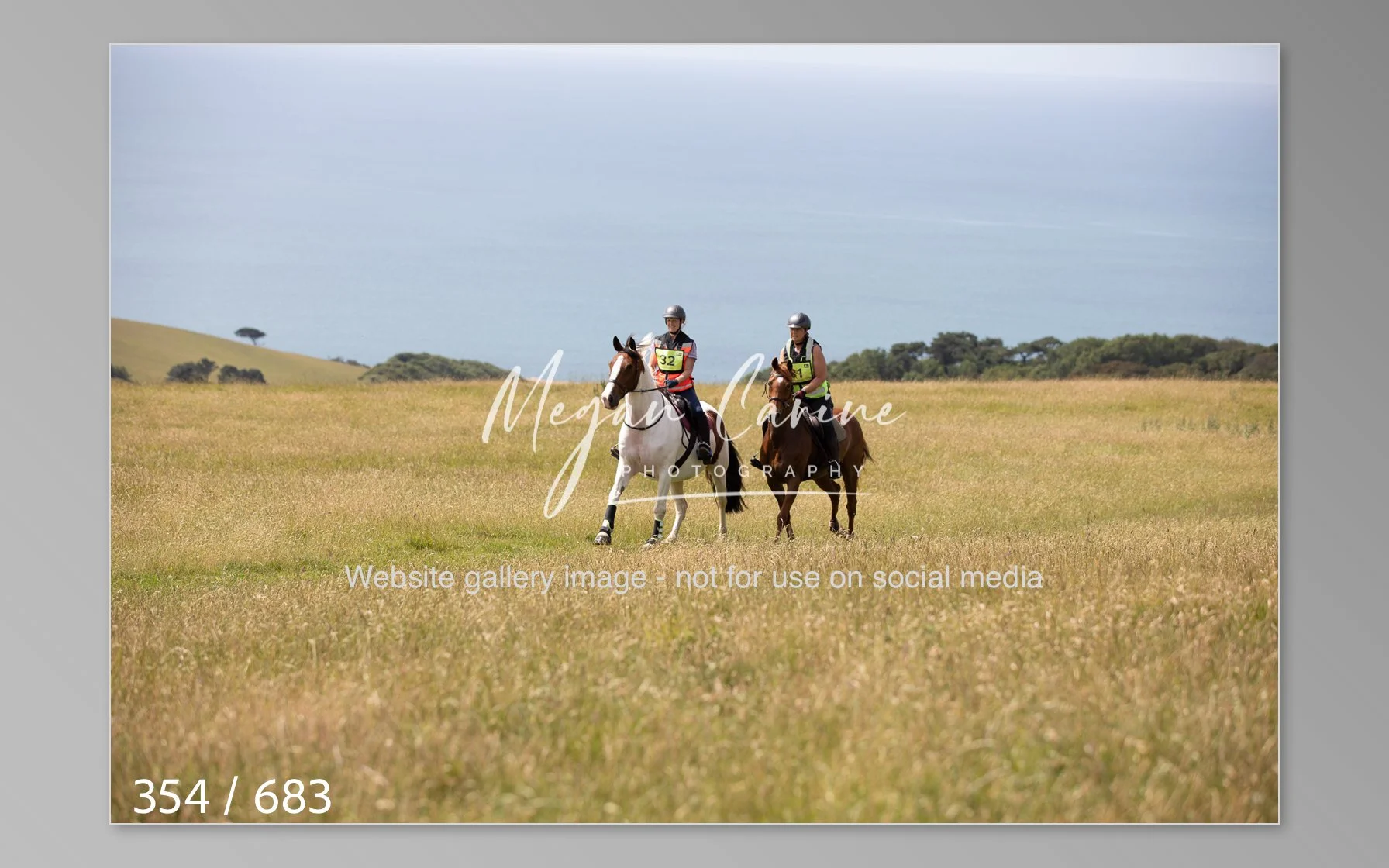 Abbotsbury-354.jpg