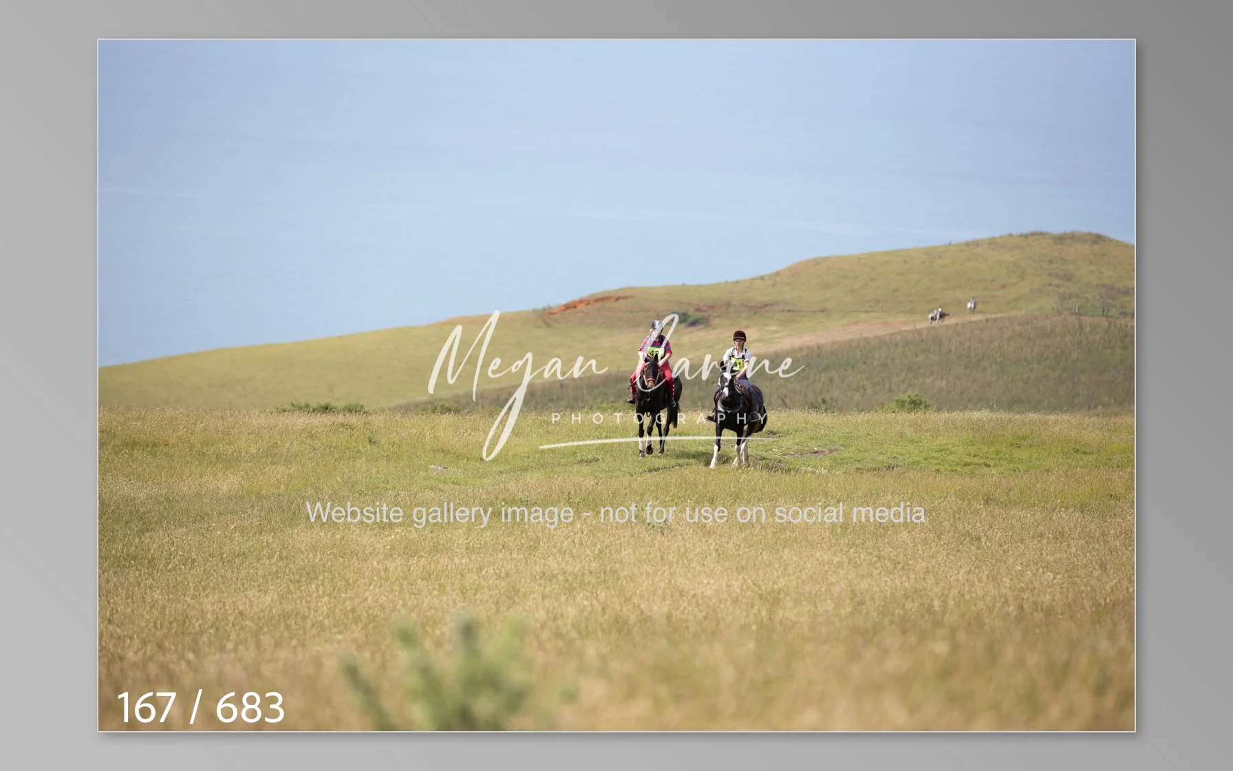 Abbotsbury-167.jpg