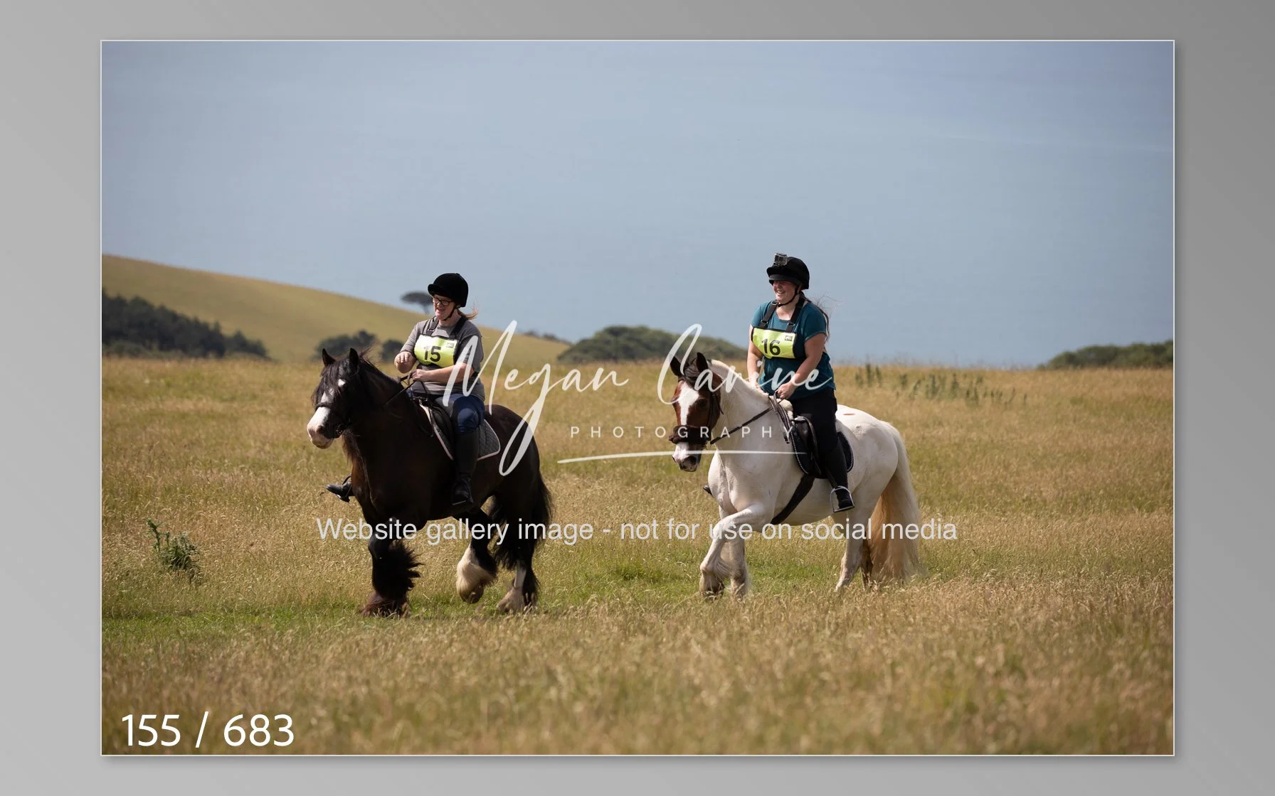 Abbotsbury-155.jpg
