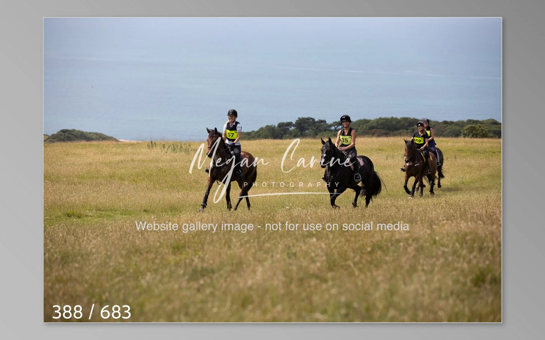 Abbotsbury-388.jpg