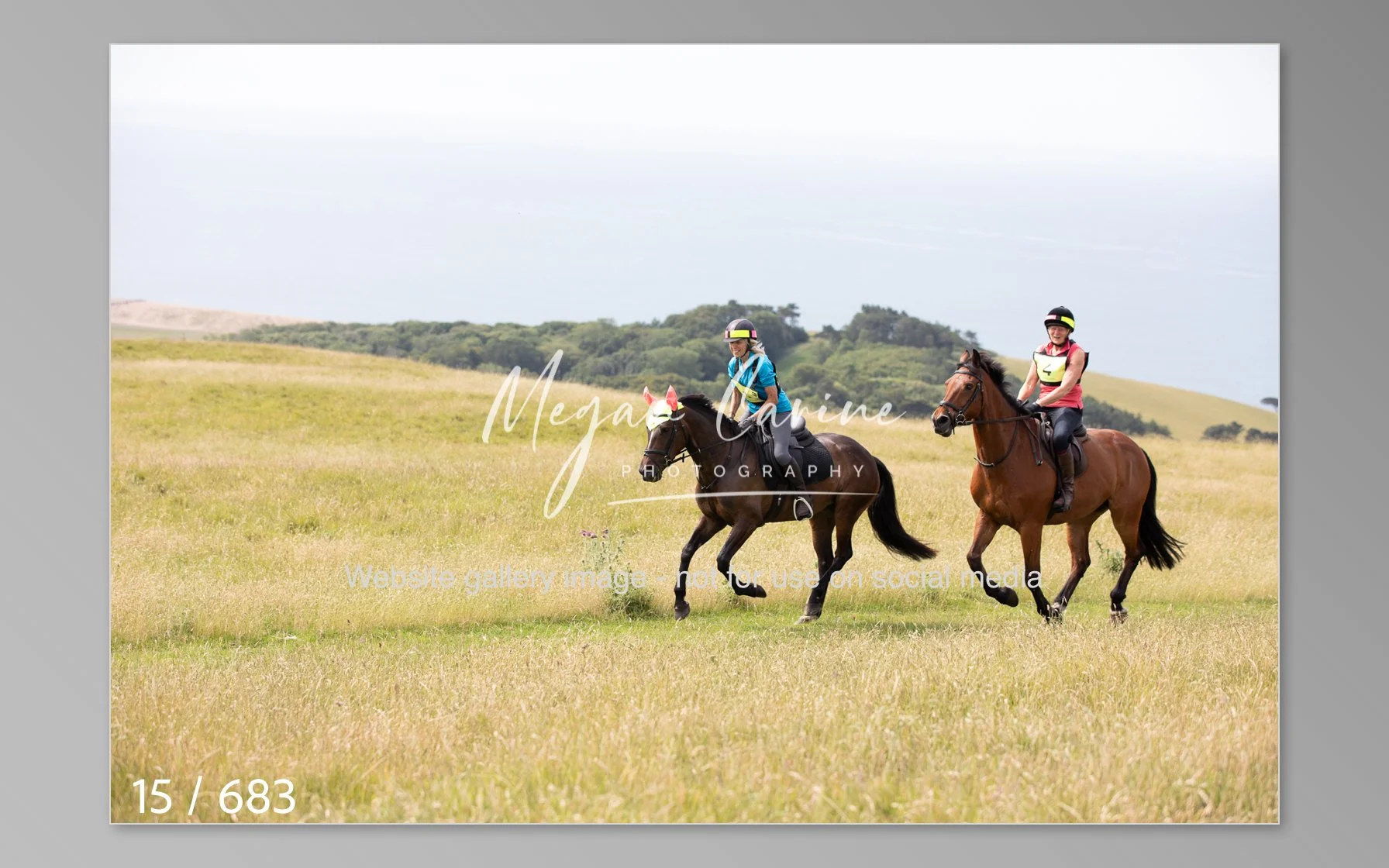 Abbotsbury-015.jpg