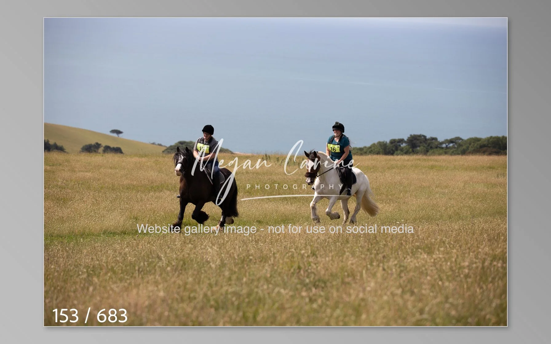 Abbotsbury-153.jpg