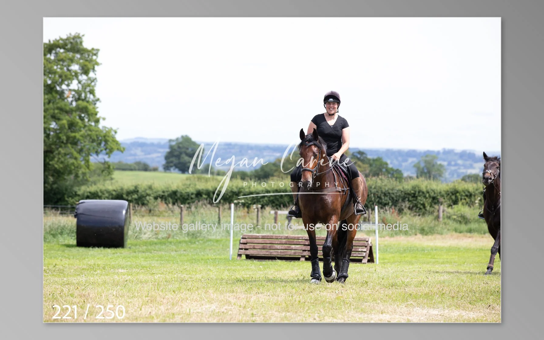 Untitled-221.jpg