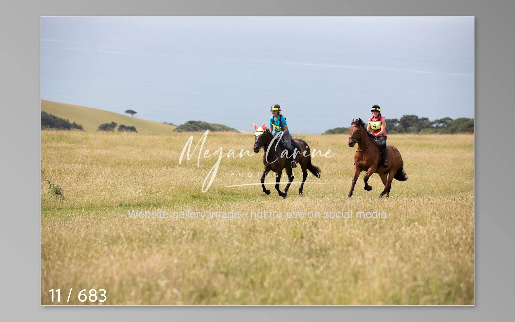 Abbotsbury-011.jpg