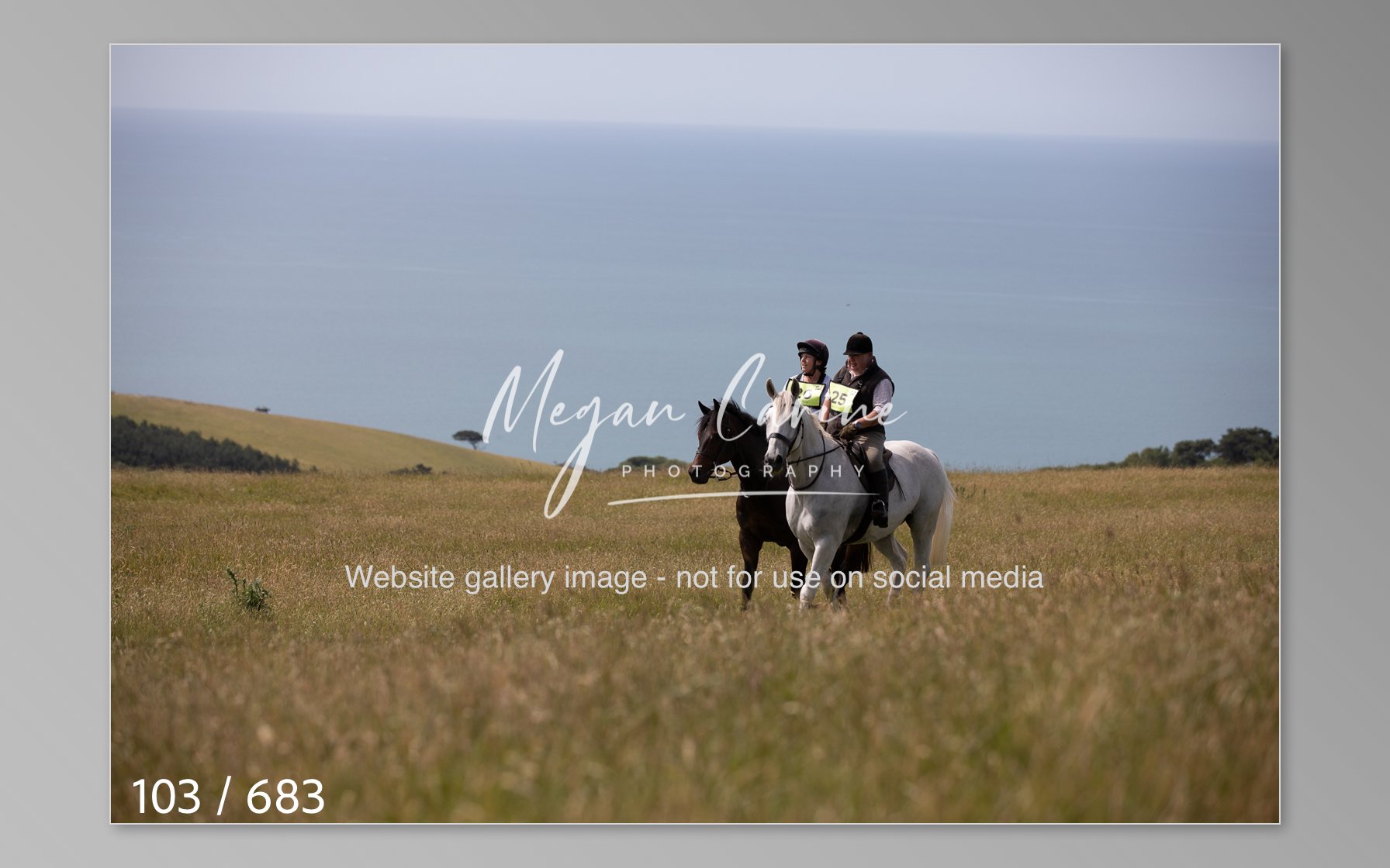 Abbotsbury-103.jpg