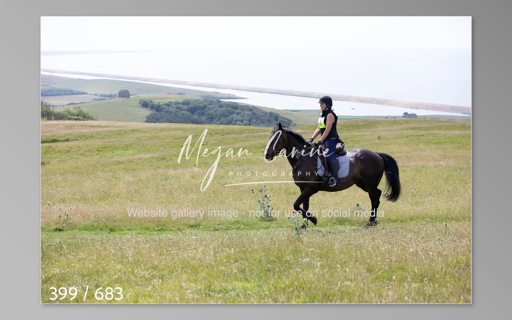 Abbotsbury-399.jpg