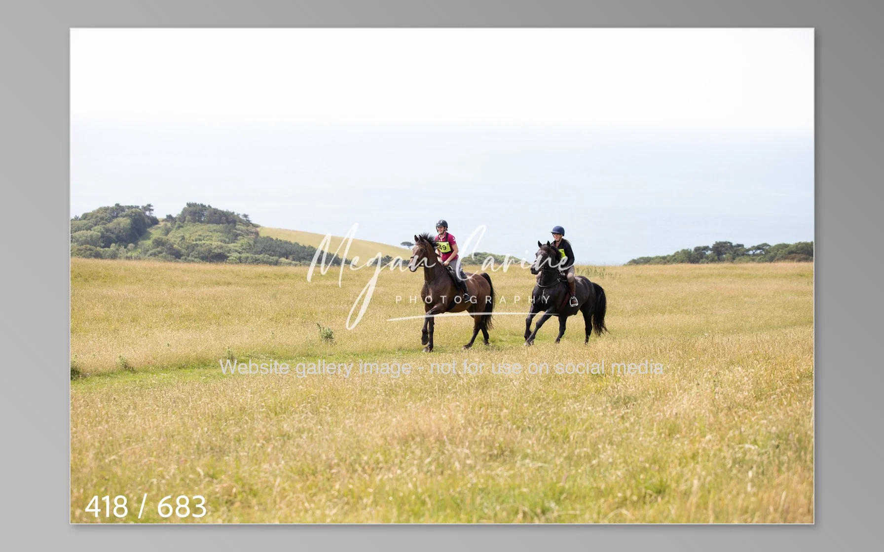 Abbotsbury-418.jpg