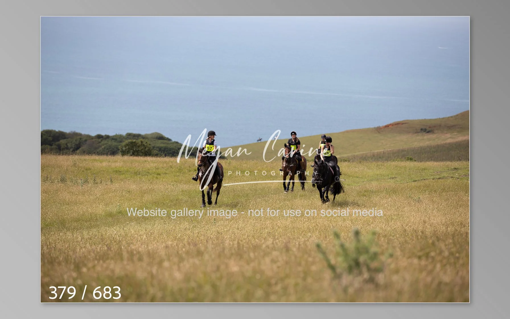 Abbotsbury-379.jpg