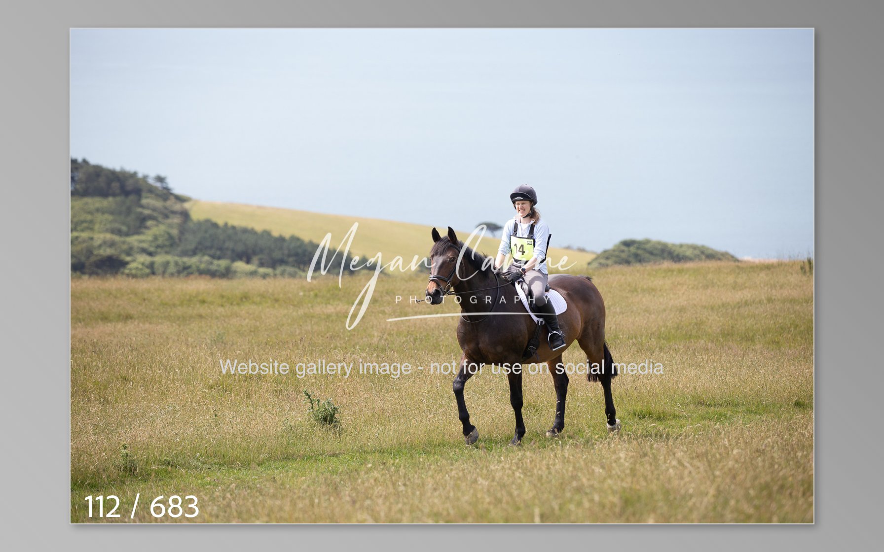Abbotsbury-112.jpg