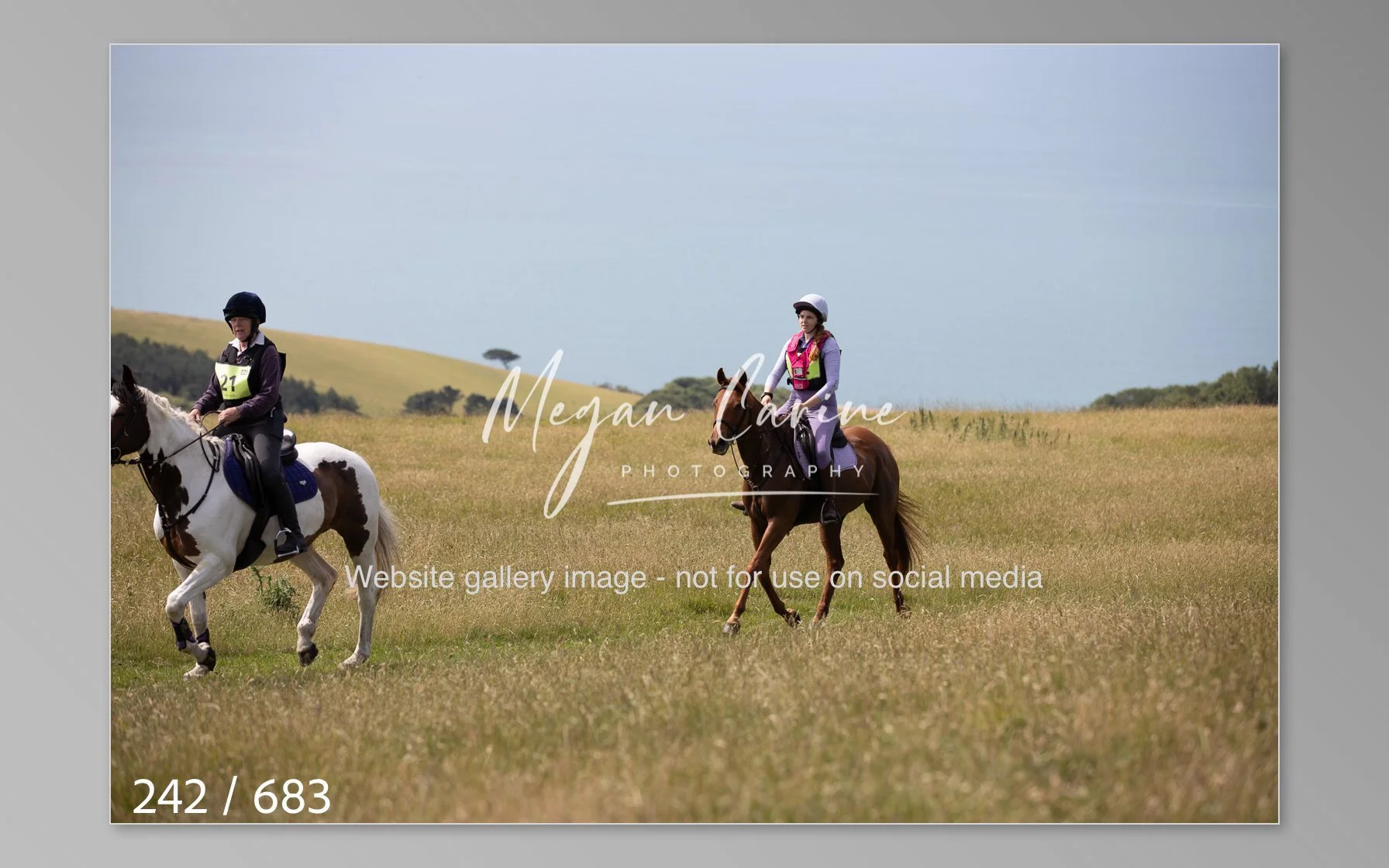 Abbotsbury-242.jpg