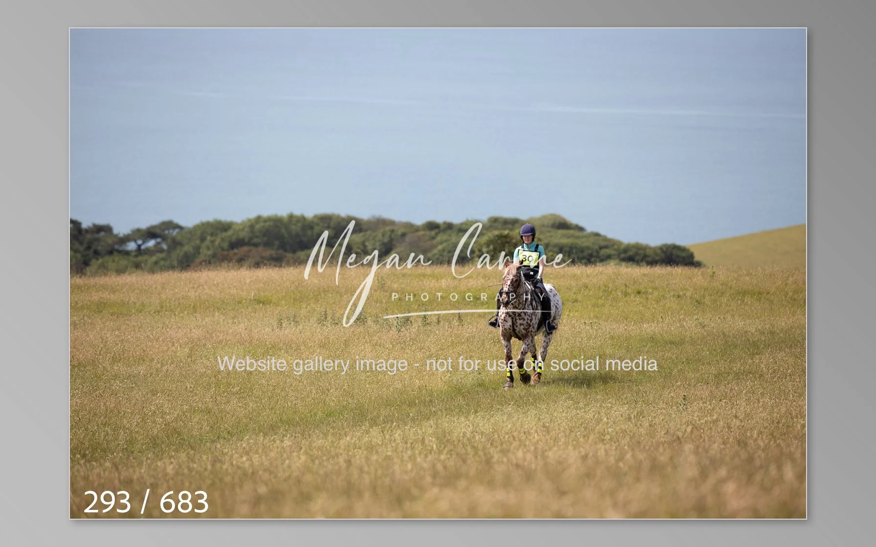 Abbotsbury-293.jpg