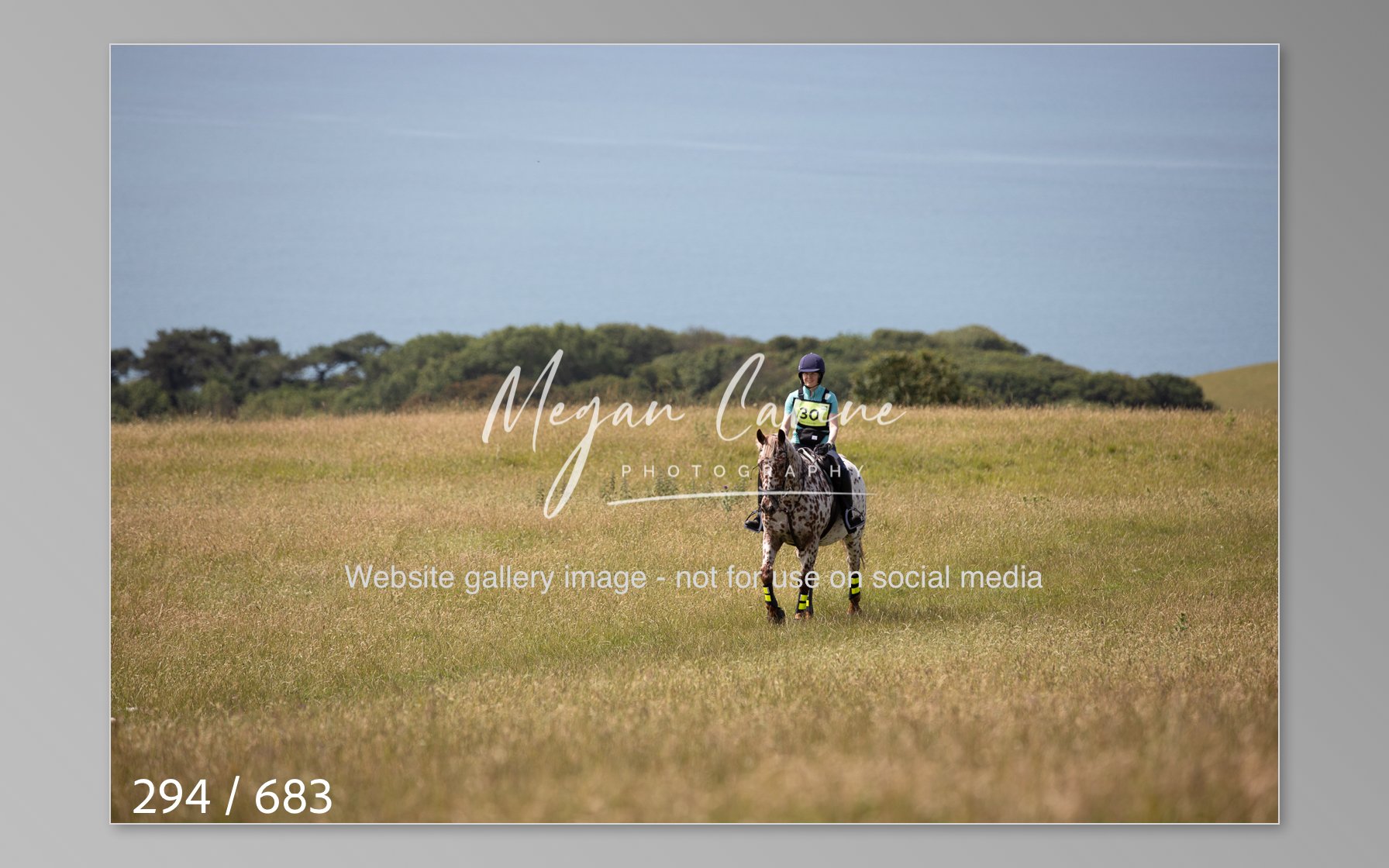 Abbotsbury-294.jpg