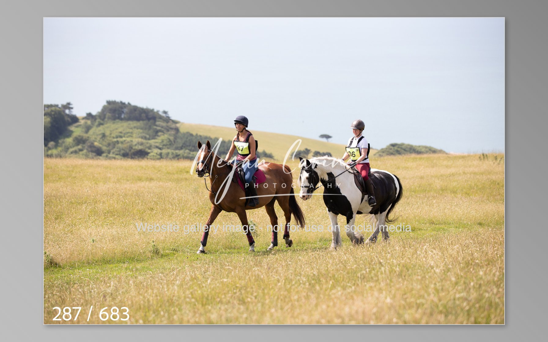 Abbotsbury-287.jpg
