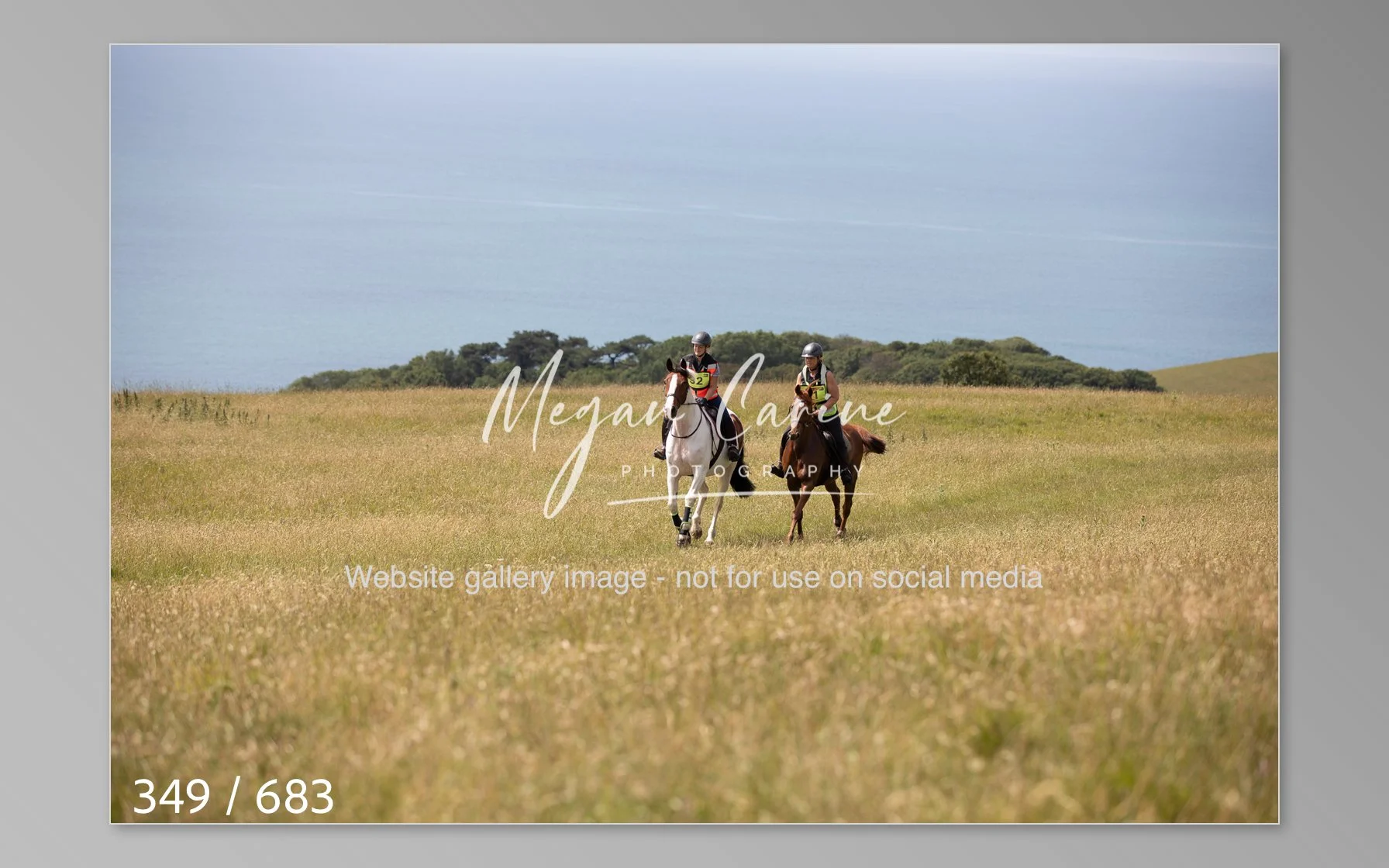 Abbotsbury-349.jpg