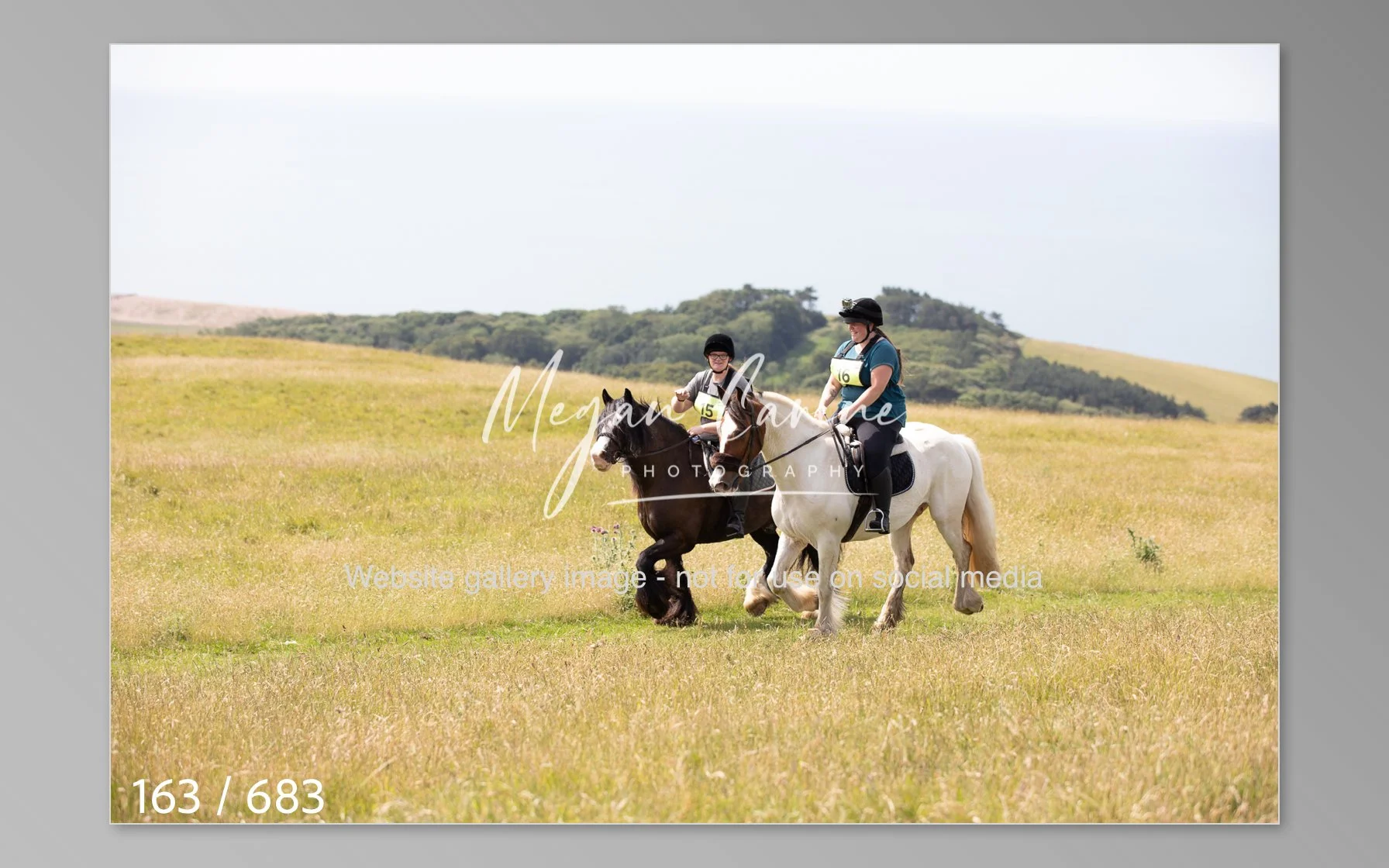 Abbotsbury-163.jpg