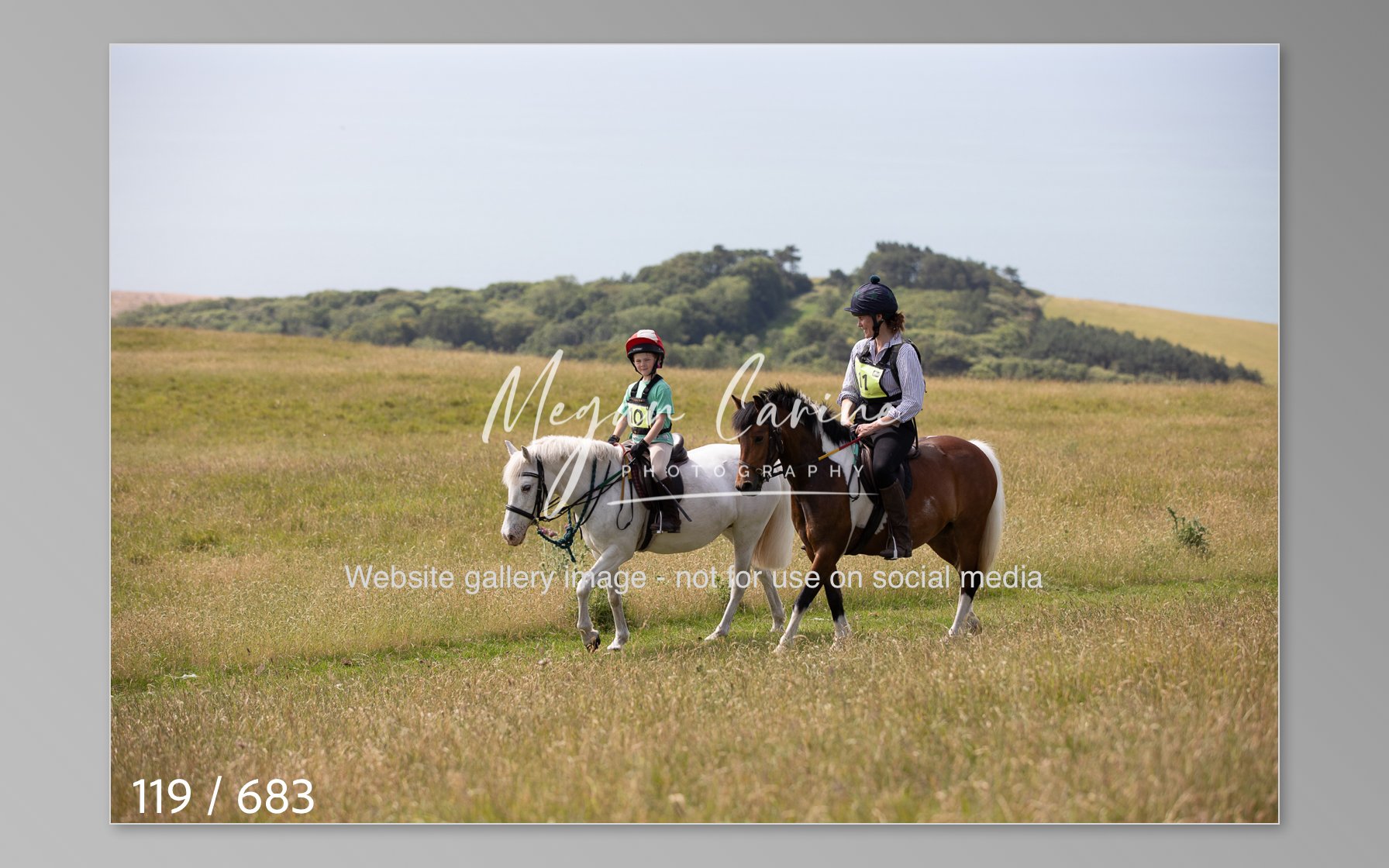 Abbotsbury-119.jpg