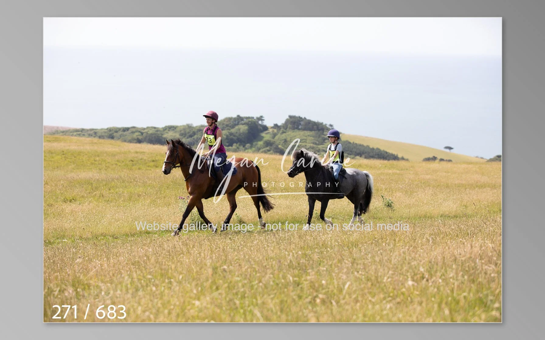 Abbotsbury-271.jpg