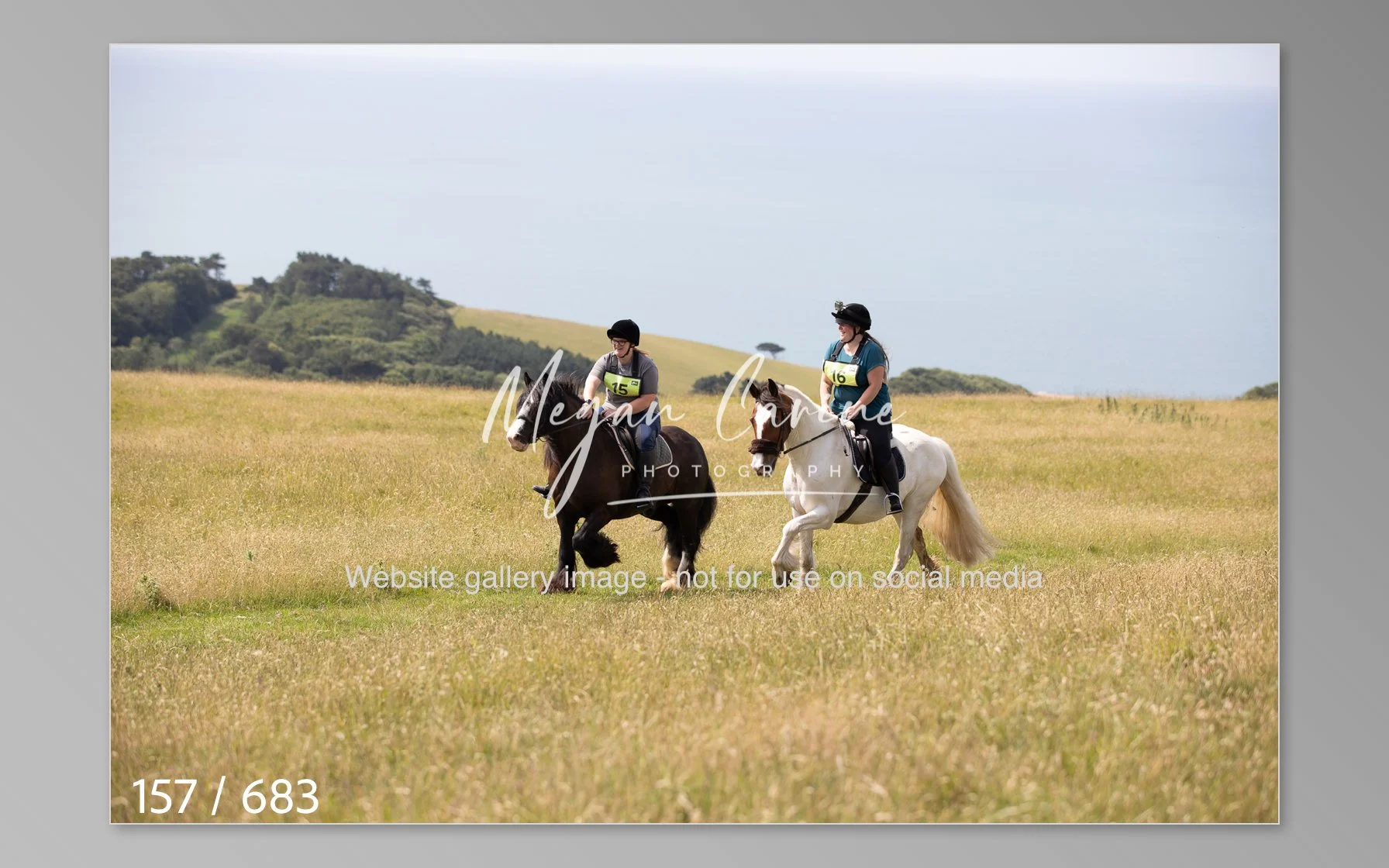 Abbotsbury-157.jpg