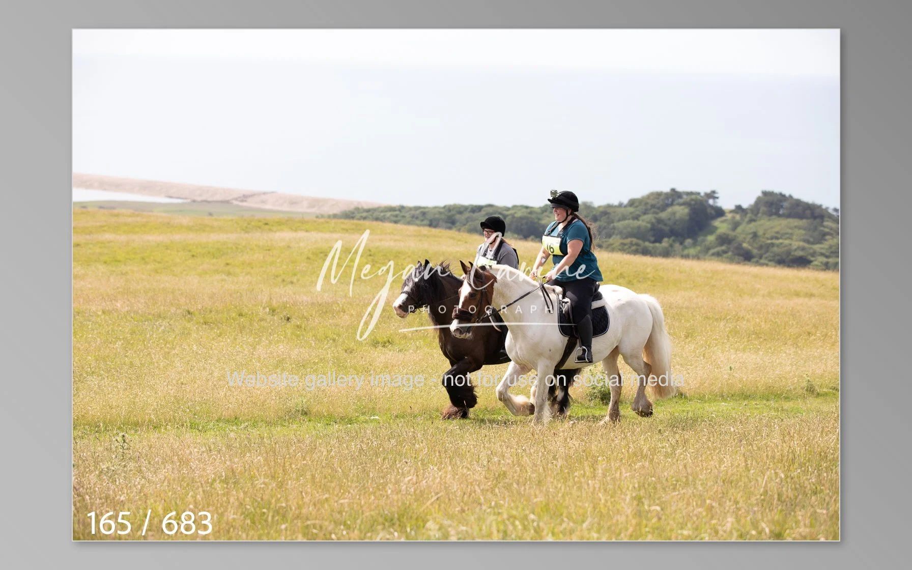 Abbotsbury-165.jpg
