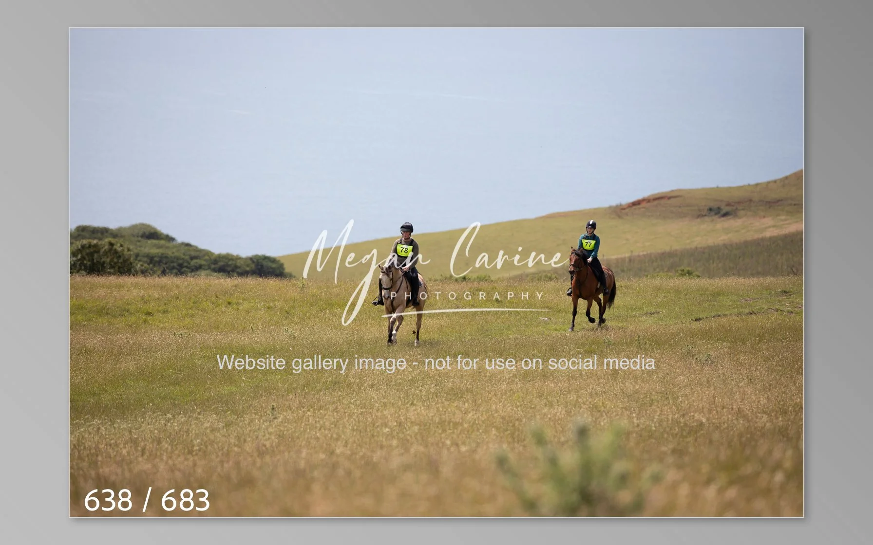 Abbotsbury-638.jpg