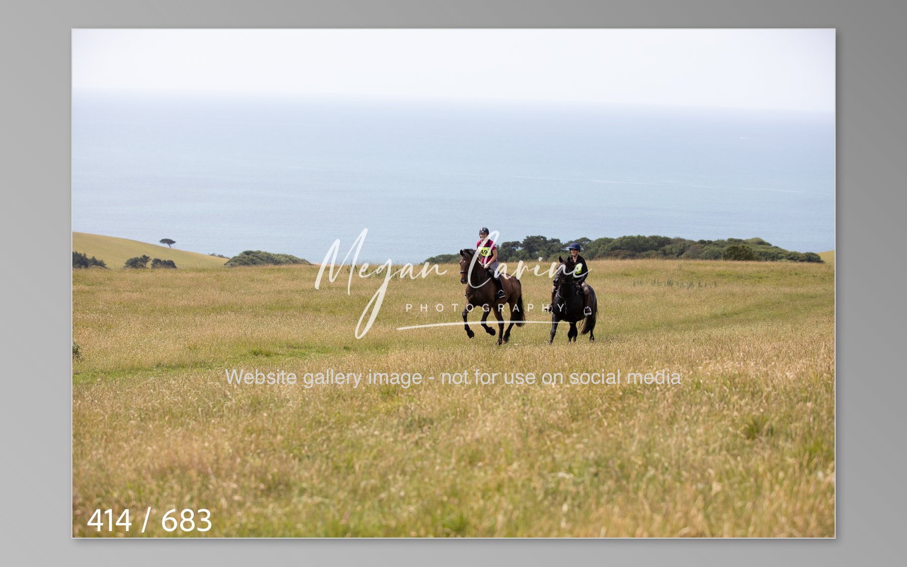 Abbotsbury-414.jpg