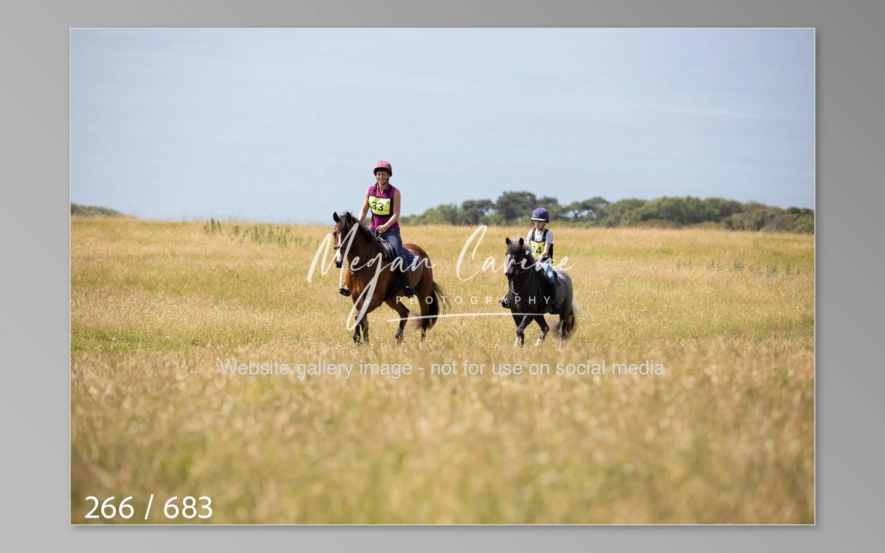 Abbotsbury-266.jpg
