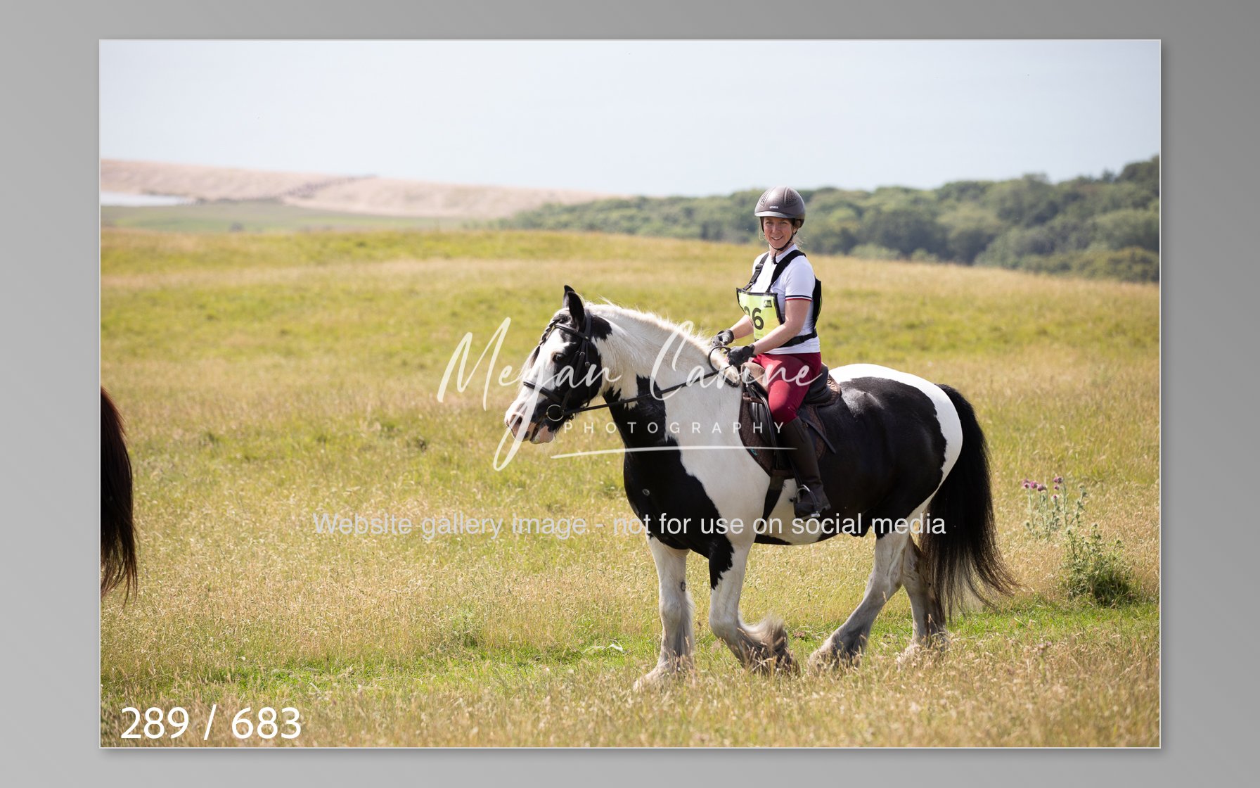Abbotsbury-289.jpg