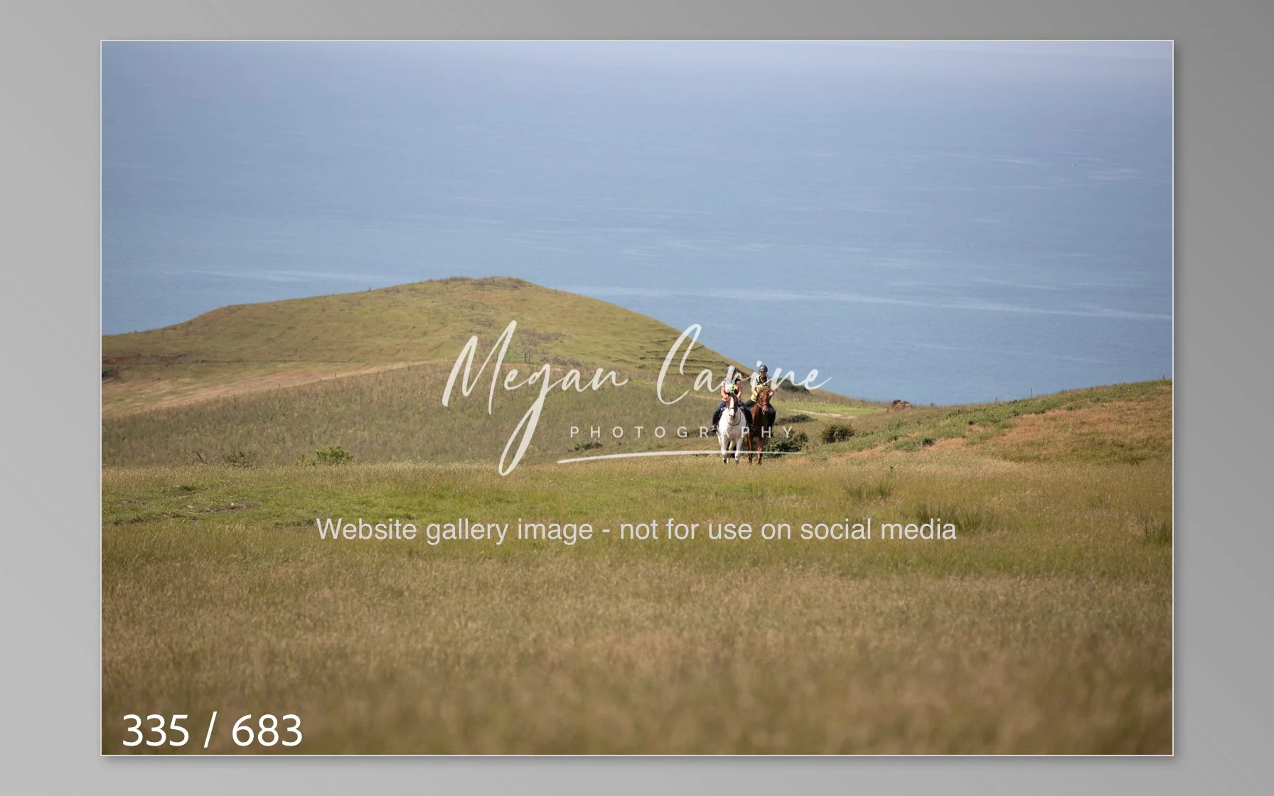 Abbotsbury-335.jpg
