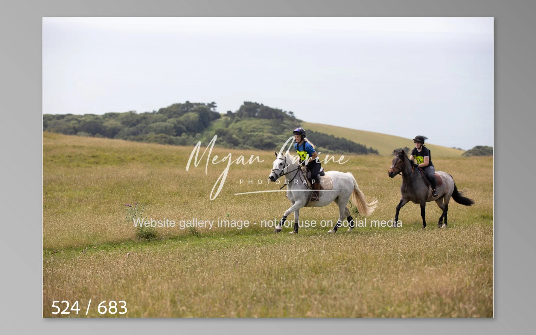 Abbotsbury-524.jpg