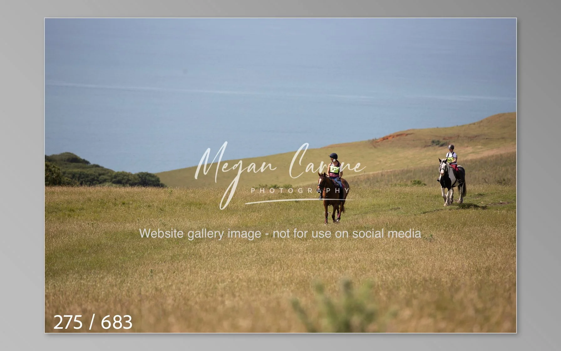 Abbotsbury-275.jpg