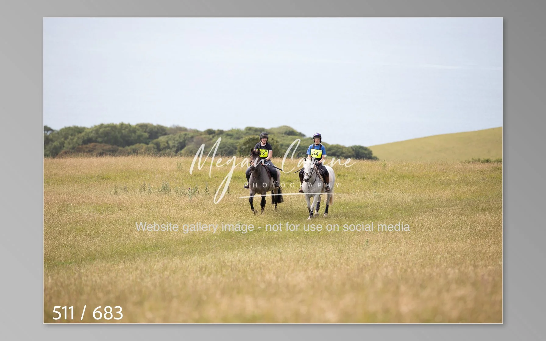 Abbotsbury-511.jpg