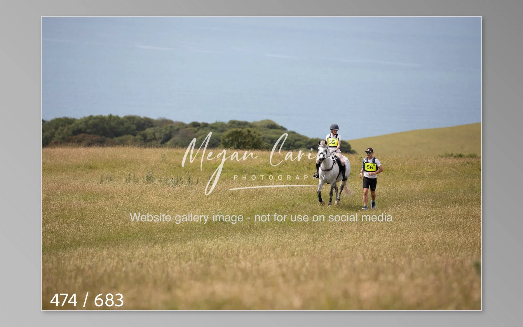 Abbotsbury-474.jpg
