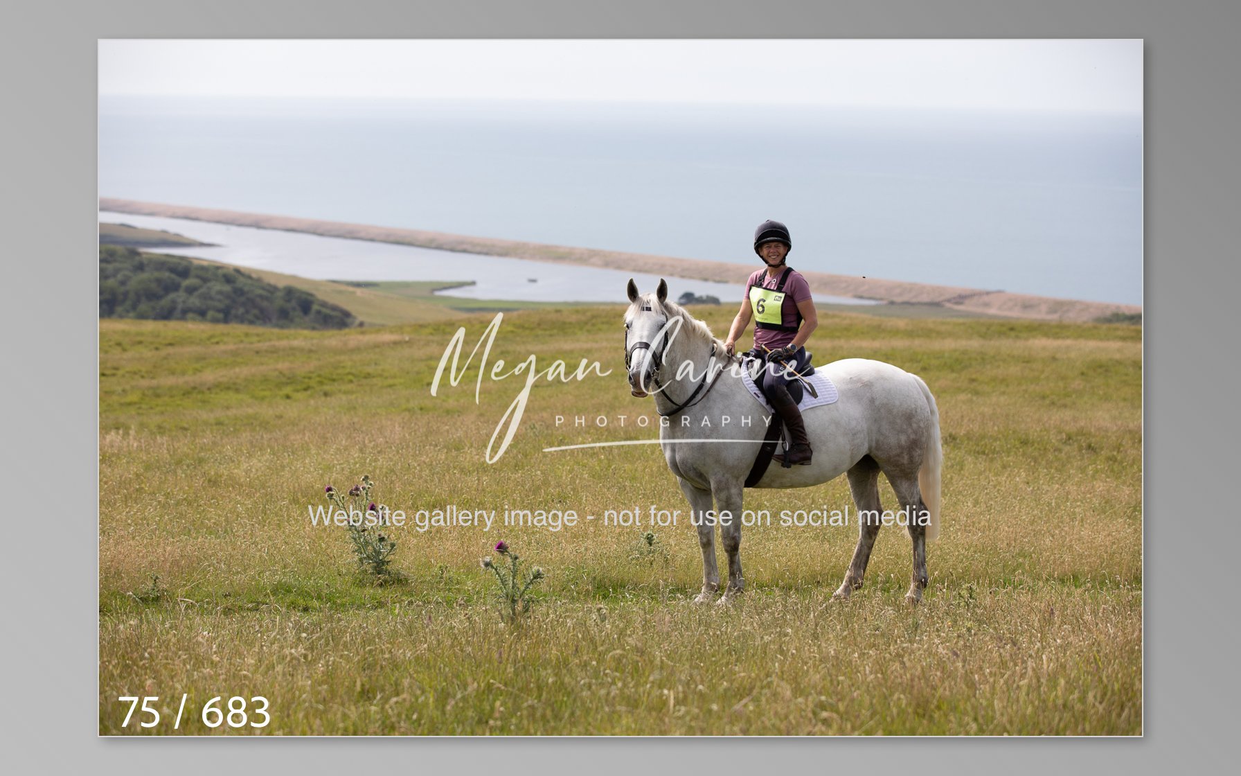 Abbotsbury-075.jpg