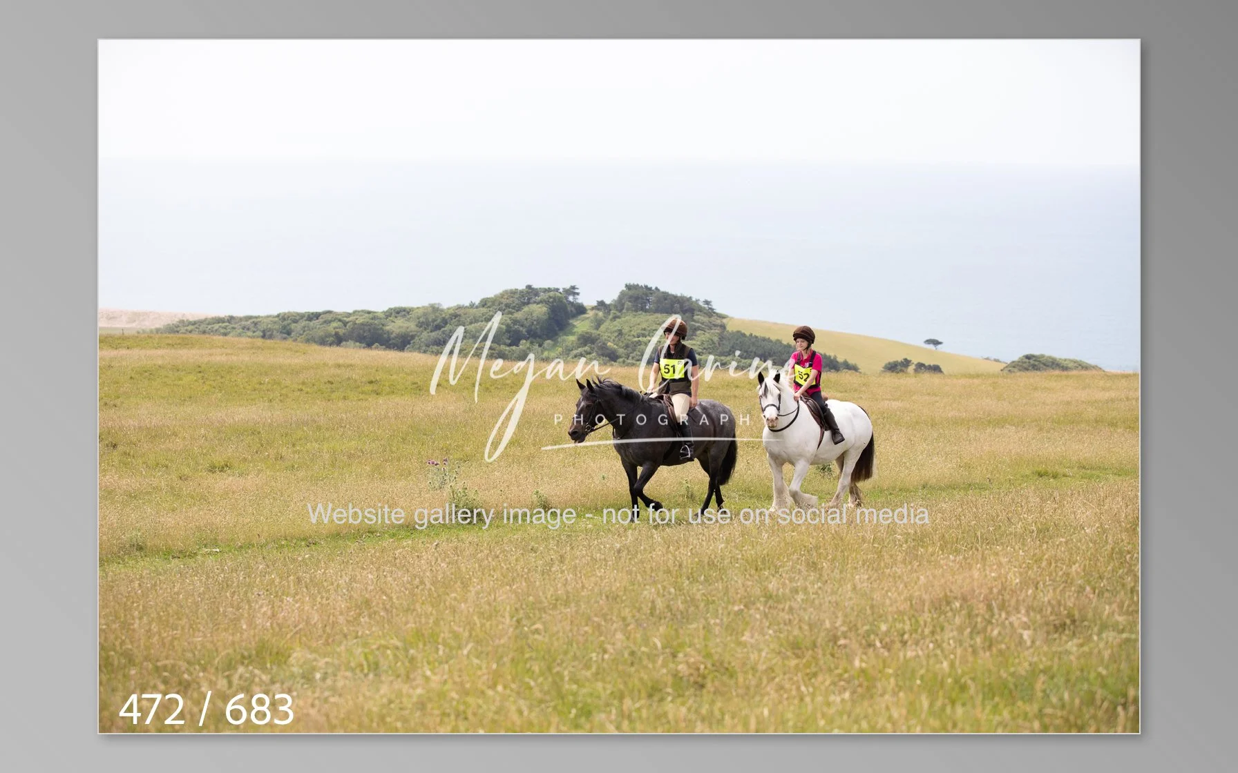 Abbotsbury-472.jpg
