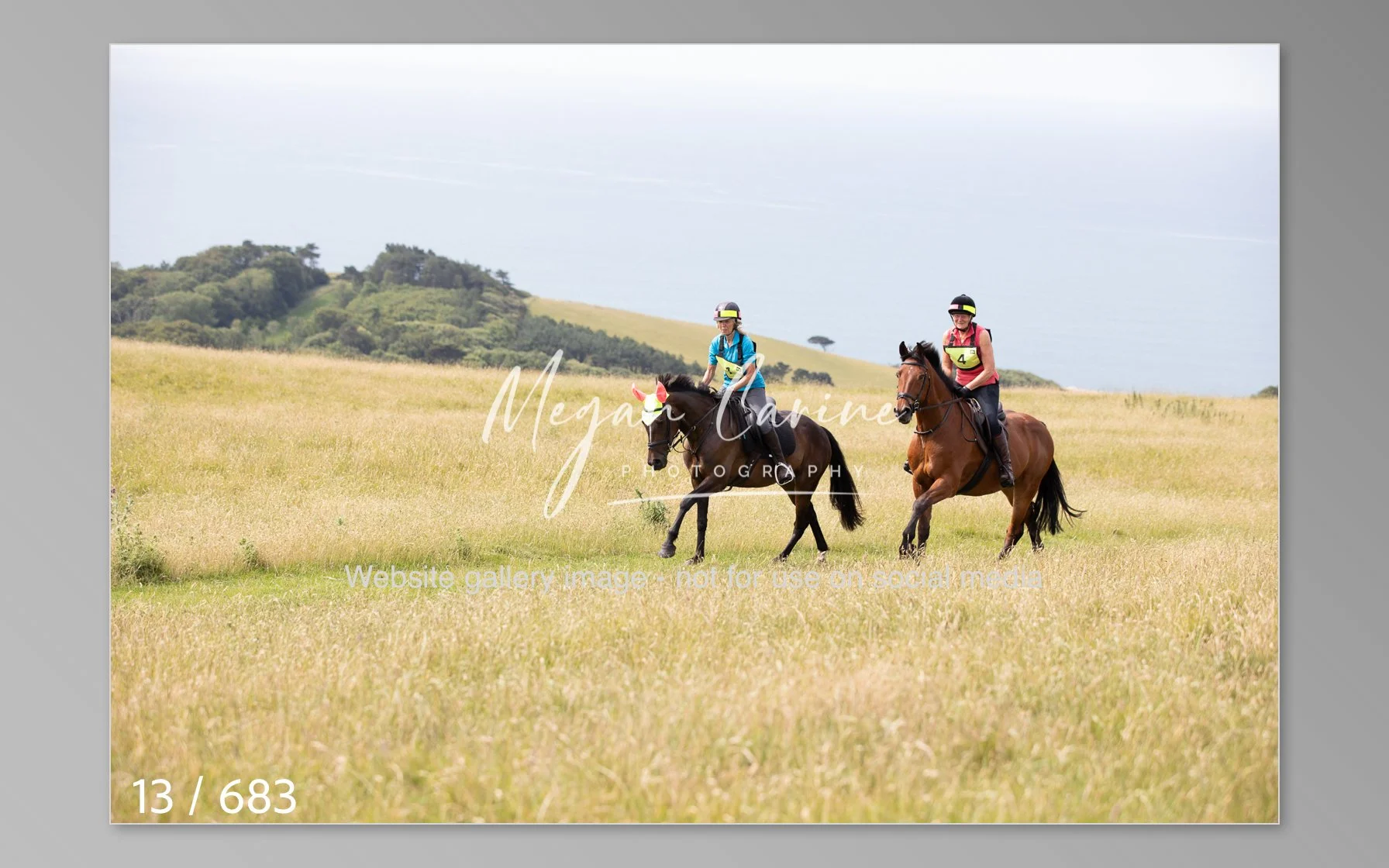 Abbotsbury Fun Ride (BHS) - 14.06.26