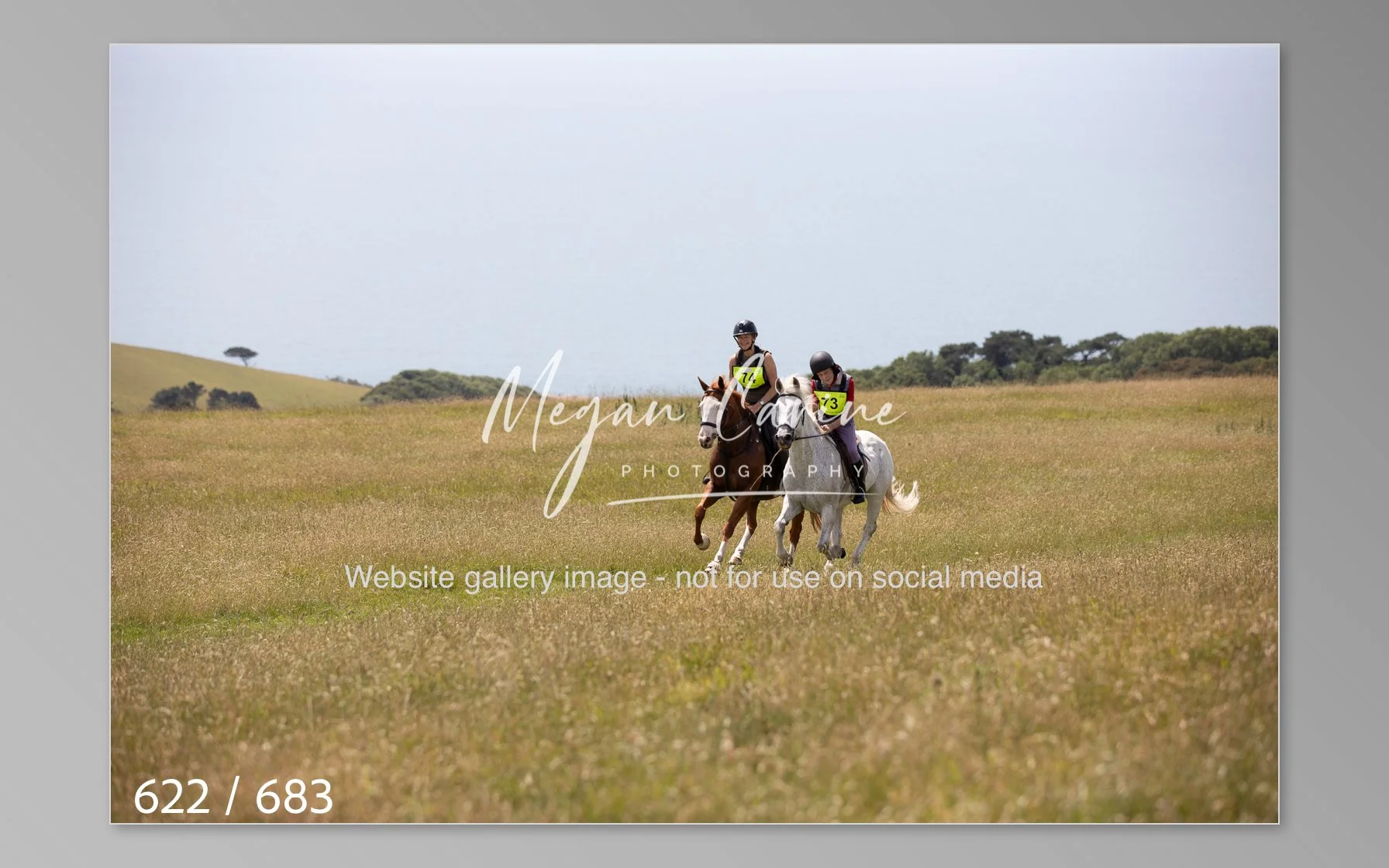 Abbotsbury-622.jpg