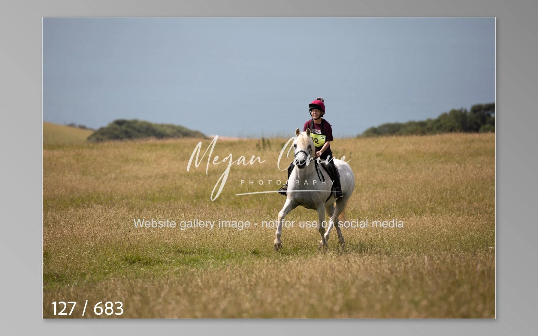 Abbotsbury-127.jpg