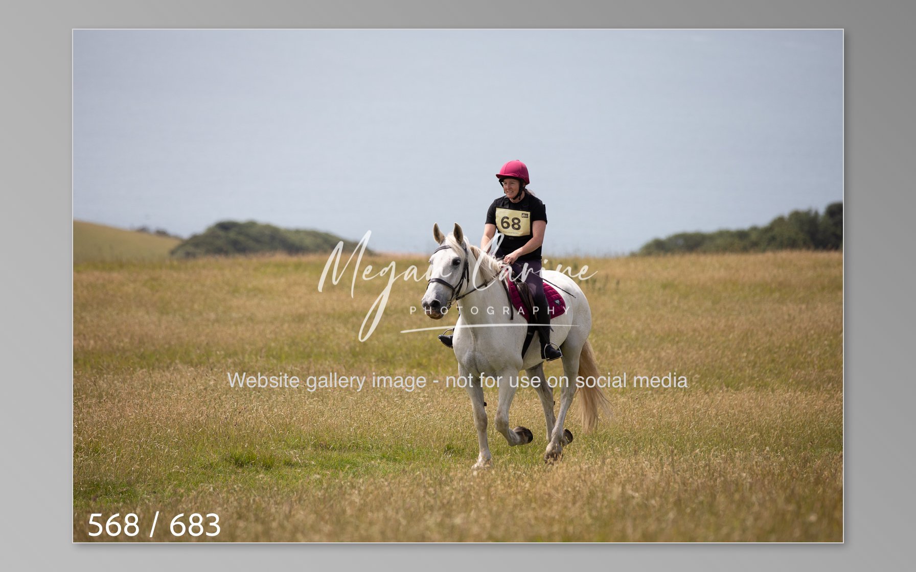 Abbotsbury-568.jpg